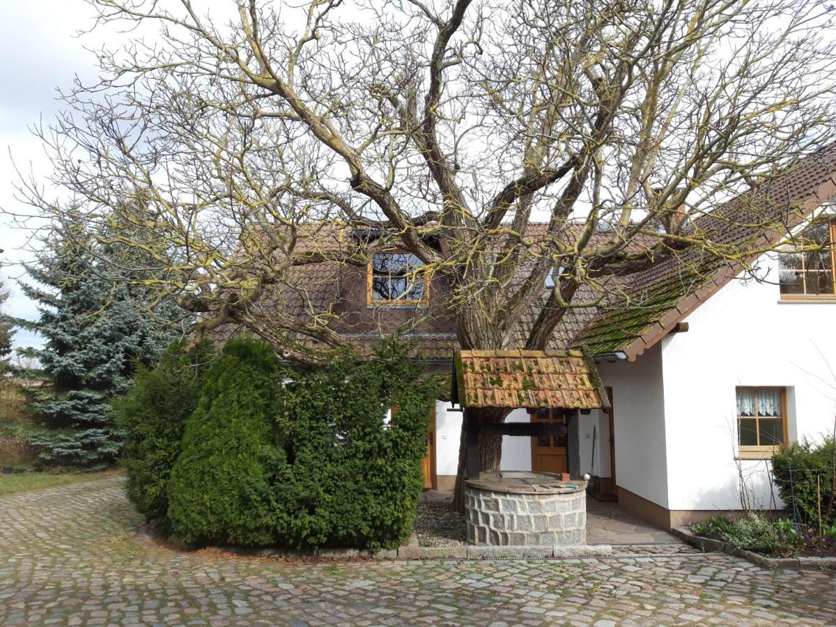 Ein Bett Im Kornfeld - Haus Morgensonne - Mit Innenpool Schonfeld  Eksteriør bilde