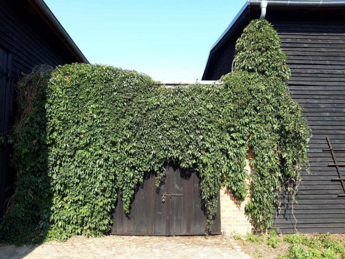 Ein Bett Im Kornfeld - Haus Morgensonne - Mit Innenpool Schonfeld  Eksteriør bilde