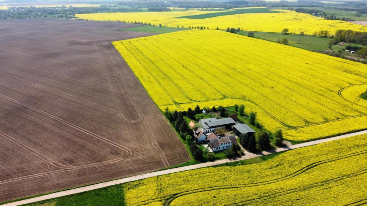 Ein Bett Im Kornfeld - Haus Morgensonne - Mit Innenpool Schonfeld  Eksteriør bilde