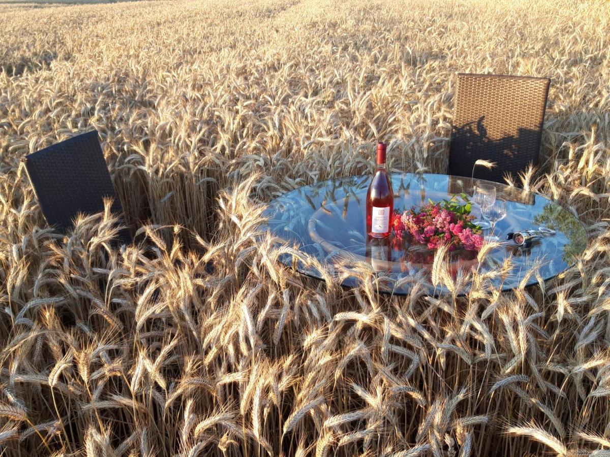 Ein Bett Im Kornfeld - Haus Morgensonne - Mit Innenpool Schonfeld  Eksteriør bilde